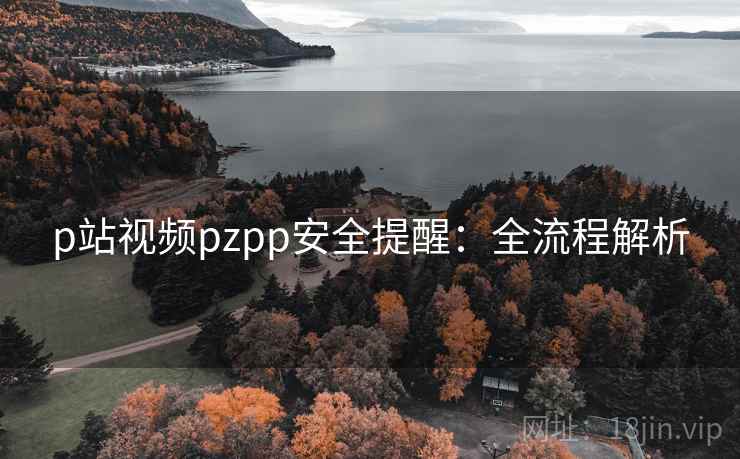 p站视频pzpp安全提醒:全流程解析