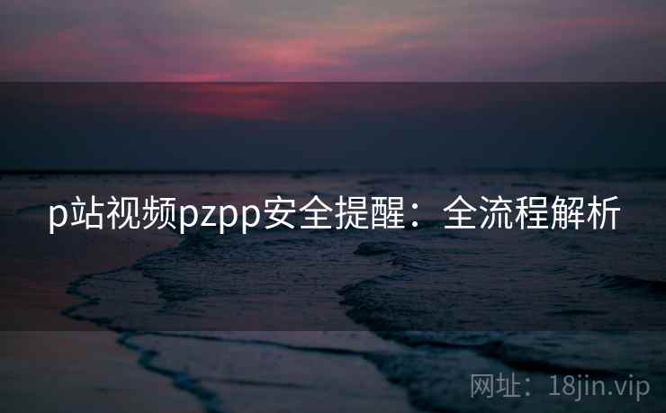 p站视频pzpp安全提醒:全流程解析