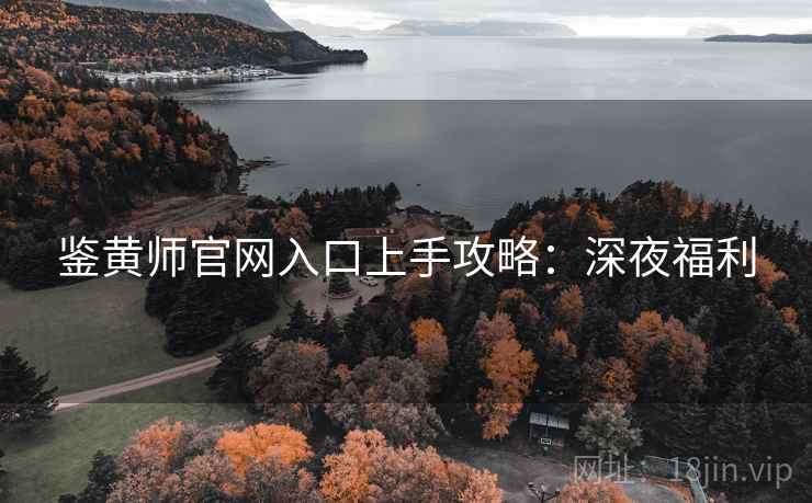 鉴黄师官网入口上手攻略：深夜福利
