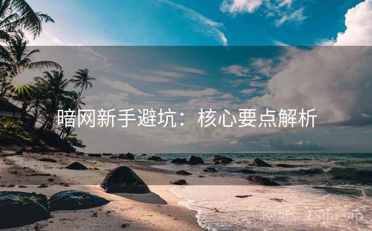 暗网新手避坑：核心要点解析
