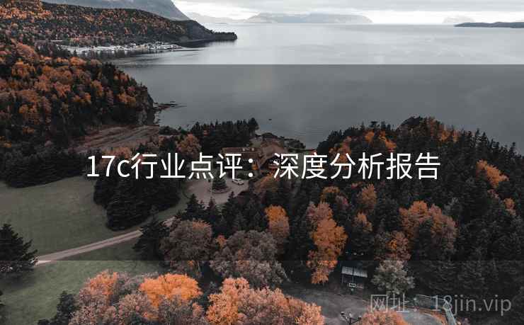 17c行业点评：深度分析报告